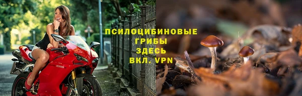 дурь Пестово