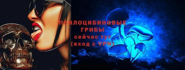 синтетический гашиш Алексин