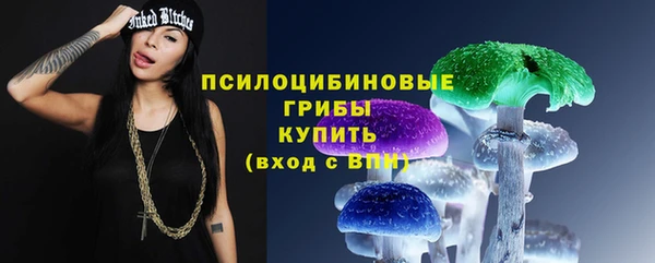 круглые Алексеевка
